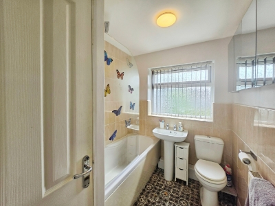 Picture 11